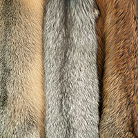 Fur