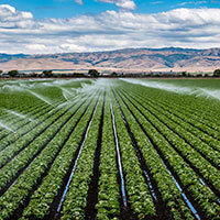 Irrigation & Water