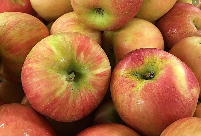 Honeycrisp Apples